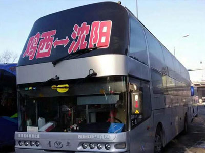 ͳ泵绰