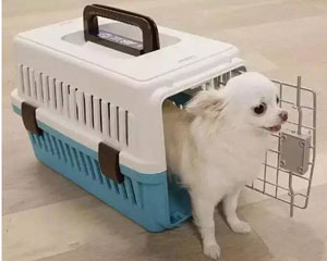 ʯׯ̳ȫרҵ˸ģҪͳ
